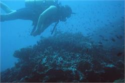 01539_Great Barrier Reef